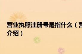 营业执照注册号是指什么（营业执照注册号是哪个相关内容简介介绍）