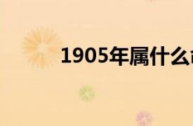 1905年属什么命（05年属什么）