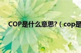 COP是什么意思?（cop是什么意思相关内容简介介绍）