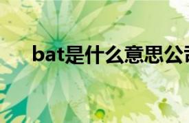 bat是什么意思公司（bat是什么意思）