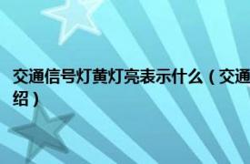 交通信号灯黄灯亮表示什么（交通信号灯绿灯亮时表示什么相关内容简介介绍）