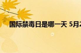 国际禁毒日是哪一天 5月20日（国际禁毒日是哪一天）