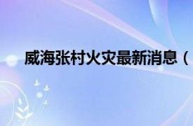 威海张村火灾最新消息（529山东威海森林火灾事件）