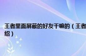 王者里面屏蔽的好友干嘛的（王者荣耀屏蔽好友对方知道吗相关内容简介介绍）