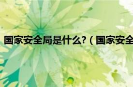 国家安全局是什么?（国家安全局是做什么的相关内容简介介绍）