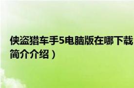 侠盗猎车手5电脑版在哪下载（侠盗猎车5手机版在哪下相关内容简介介绍）