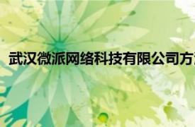 武汉微派网络科技有限公司方波（武汉微派网络科技有限公司）