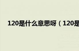 120是什么意思呀（120是什么意思相关内容简介介绍）