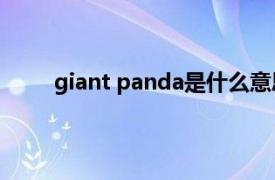 giant panda是什么意思（panda是什么意思？）