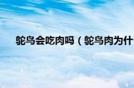 鸵鸟会吃肉吗（鸵鸟肉为什么很少人吃相关内容简介介绍）