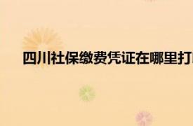 四川社保缴费凭证在哪里打印（社保缴费凭证在哪里打印）