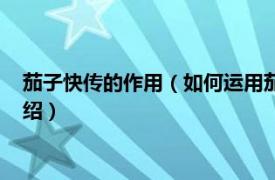 茄子快传的作用（如何运用茄子快传的传输功能相关内容简介介绍）