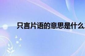 只言片语的意思是什么二年级（只言片语的意思）