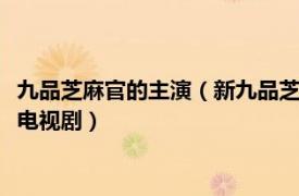 九品芝麻官的主演（新九品芝麻官 2005年邓伟恩、温伟基执导的电视剧）