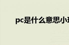 pc是什么意思小玖（pc是什么意思）