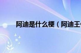 阿迪是什么梗（阿迪王什么梗相关内容简介介绍）