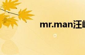 mr.man汪峰（Mr.Man）