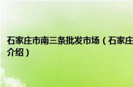 石家庄市南三条批发市场（石家庄南三条批发市场有哪些商品相关内容简介介绍）