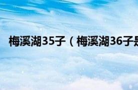 梅溪湖35子（梅溪湖36子是什么意思相关内容简介介绍）