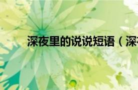 深夜里的说说短语（深夜说说相关内容简介介绍）