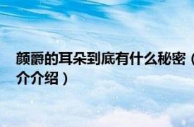 颜爵的耳朵到底有什么秘密（颜爵的耳朵有什么秘密相关内容简介介绍）