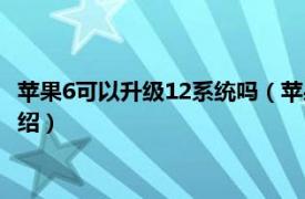 苹果6可以升级12系统吗（苹果6能升级12系统吗相关内容简介介绍）