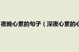 夜晚心累的句子（深夜心累的心情随笔一句话相关内容简介介绍）