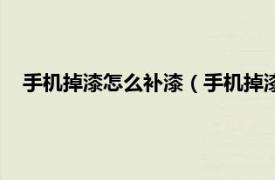 手机掉漆怎么补漆（手机掉漆了怎么修补相关内容简介介绍）