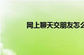 网上聊天交朋友怎么聊（网上聊天交朋友）