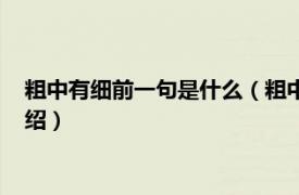 粗中有细前一句是什么（粗中有细上一句是什么相关内容简介介绍）