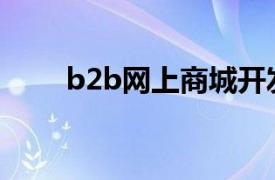 b2b网上商城开发（B2B网上商城）