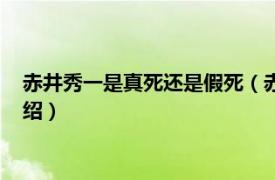 赤井秀一是真死还是假死（赤井秀一怎么假死的相关内容简介介绍）