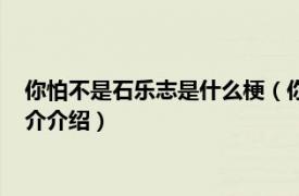 你怕不是石乐志是什么梗（你怕是石乐志是什么意思相关内容简介介绍）