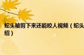 蛇头被剪下来还能咬人视频（蛇头被剪下来还能咬人为什么相关内容简介介绍）