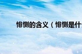 悱恻的含义（悱恻是什么意思相关内容简介介绍）