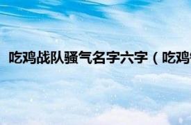 吃鸡战队骚气名字六字（吃鸡钢枪六字网名相关内容简介介绍）