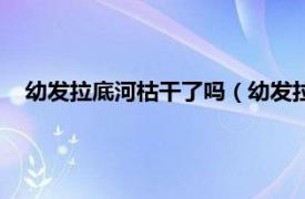 幼发拉底河枯干了吗（幼发拉底河干了吗相关内容简介介绍）