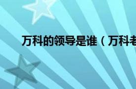 万科的领导是谁（万科老板是谁相关内容简介介绍）