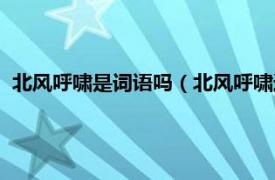 北风呼啸是词语吗（北风呼啸还有什么词语相关内容简介介绍）