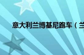 意大利兰博基尼跑车（兰博基尼 意大利汽车生产商）