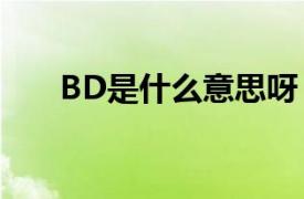 BD是什么意思呀（bd是什么意思呀）