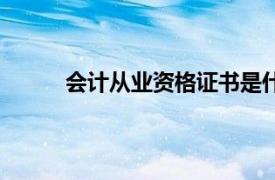 会计从业资格证书是什么（会计从业资格证书）