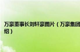 万豪董事长刘轩豪图片（万豪集团董事长刘轩豪是什么电视相关内容简介介绍）