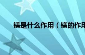 镁是什么作用（镁的作用有哪些相关内容简介介绍）