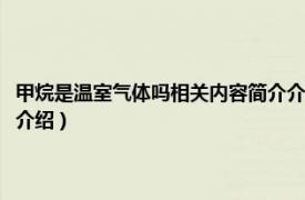 甲烷是温室气体吗相关内容简介介绍视频（甲烷是温室气体吗相关内容简介介绍）