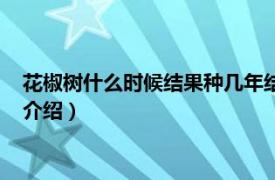 花椒树什么时候结果种几年结果（花椒树几年结果相关内容简介介绍）