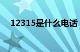 12315是什么电话（12333是什么电话）