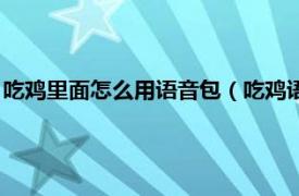 吃鸡里面怎么用语音包（吃鸡语音包怎么使用相关内容简介介绍）