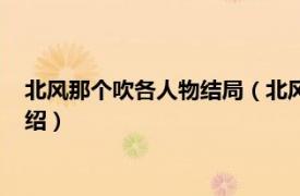 北风那个吹各人物结局（北风那个吹每个人结局相关内容简介介绍）