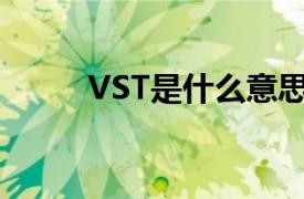 VST是什么意思（vs是什么意思）